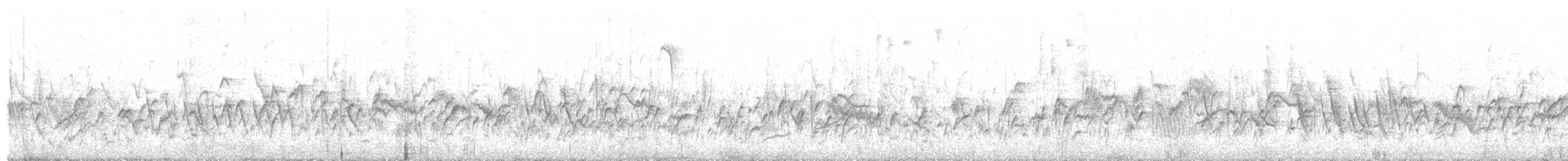 Yemen Linnet - ML626646777
