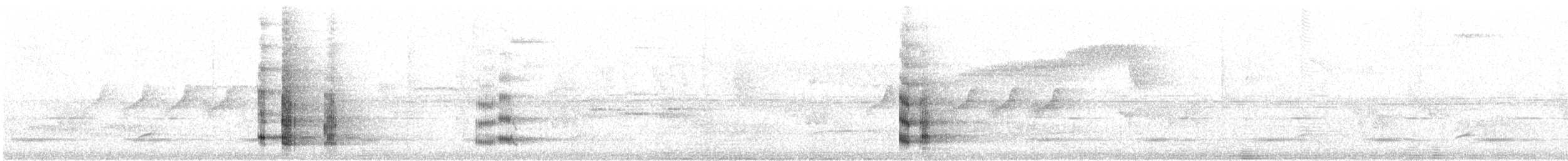 Bare-throated Bellbird - ML626649947