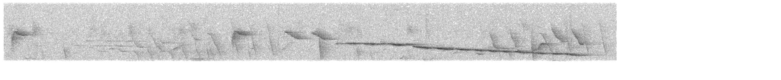 White-browed Warbler - ML626651380