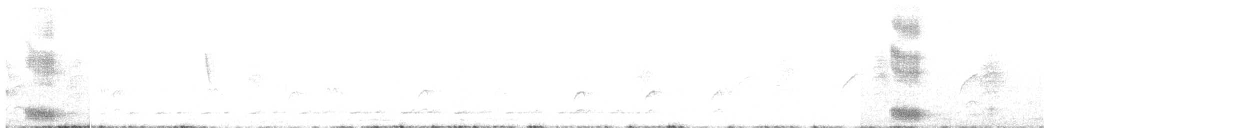 svartbelteskjeggfugl - ML626651679