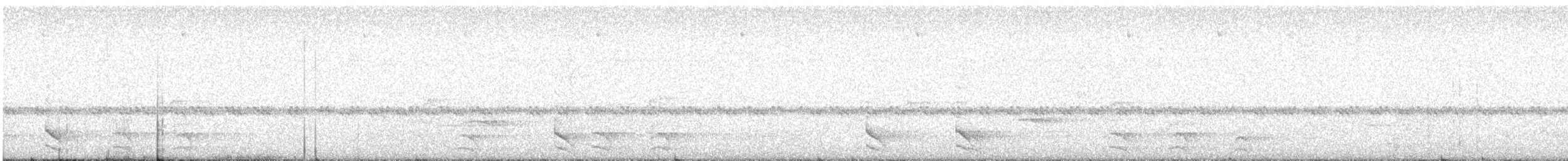 Barred Forest-Falcon - ML626657348