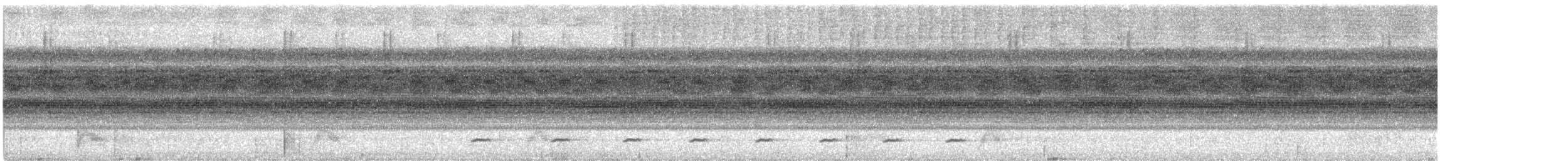 Colima Pygmy-Owl - ML626664139