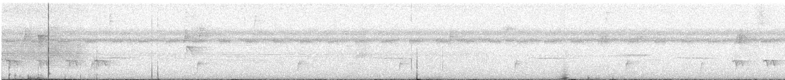 Stripe-chested Antwren - ML626667209