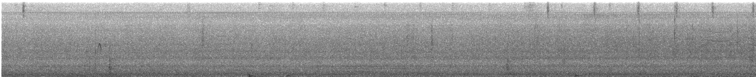 Black Phoebe (Northern) - ML626672651