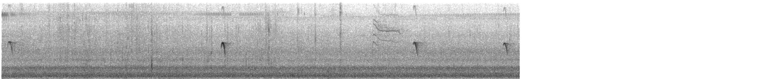 Black Phoebe (Northern) - ML626672721