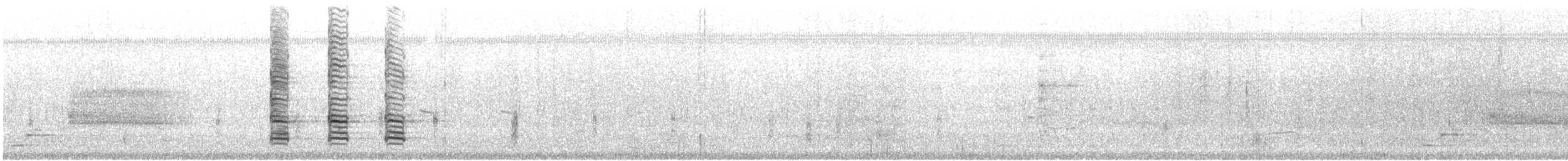 Boat-tailed Grackle - ML626675931