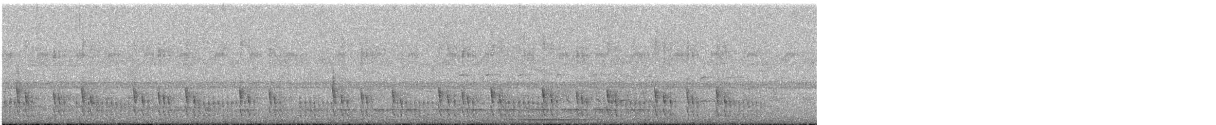 Plain Softtail - ML626679431