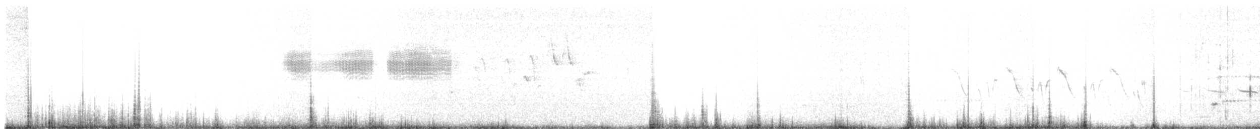 Карнатка бліда - ML62668141