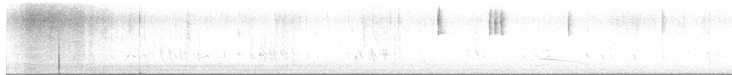 ユキヒメドリ（hyemalis／carolinensis／cismontanus） - ML626683884