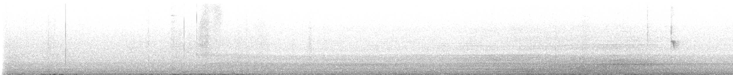 Black Phoebe (Northern) - ML626690369