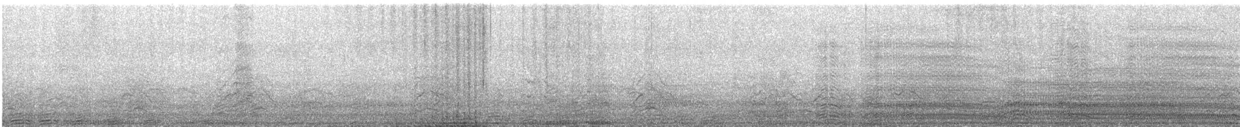 Thick-billed Murre - ML626691734