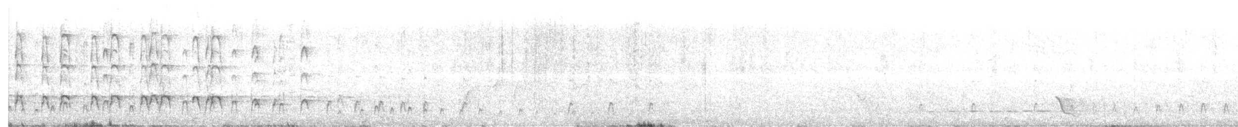 ústřičník dlouhozobý - ML626694889