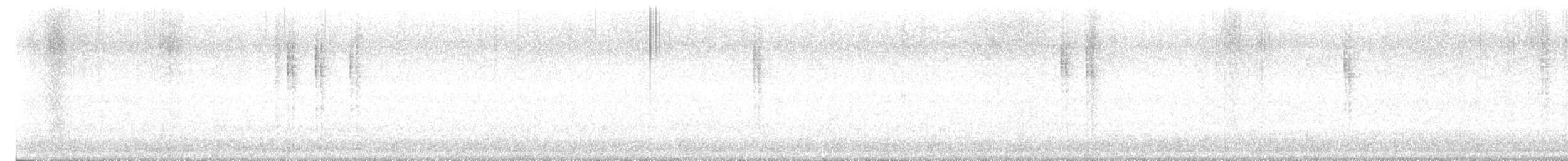 Scricciolo - ML626695339