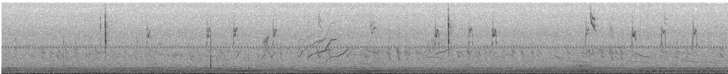 Sprague's Pipit - ML626708579