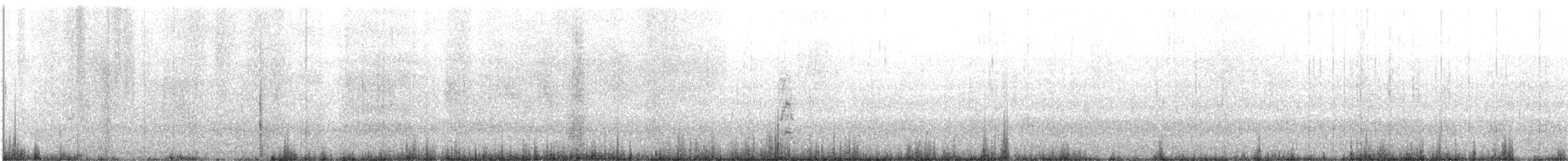 Cigno collonero - ML626724611