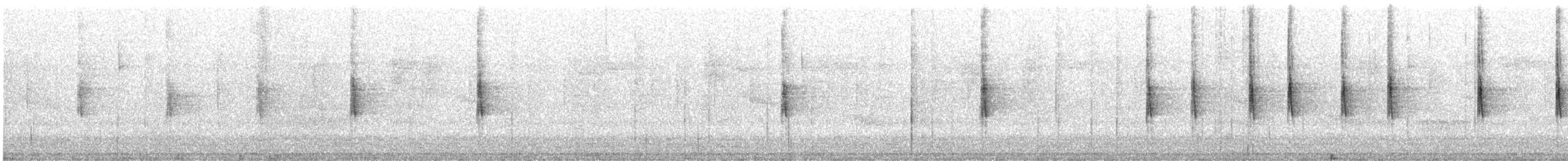 brunkroneparula (rufifrons gr.) - ML626725446
