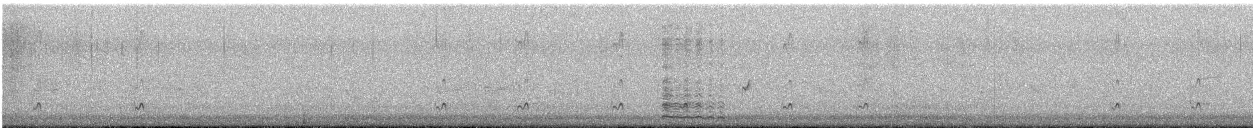 Variable Oystercatcher - ML626728485
