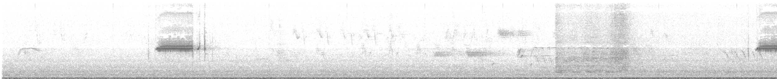 Bruant à couronne blanche (nuttalli/pugetensis) - ML62672881