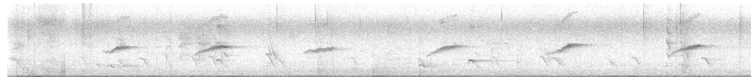 Rufous-banded Honeyeater - ML626742581