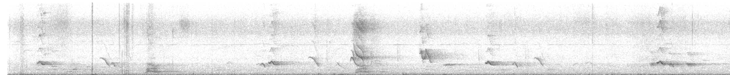 Little Friarbird - ML626742625