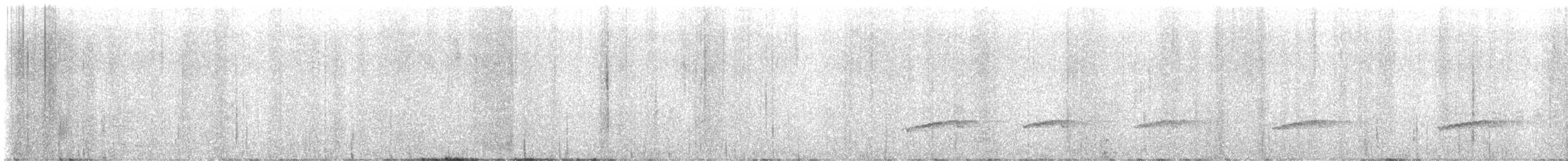 Little Spotted Kiwi - ML626745053