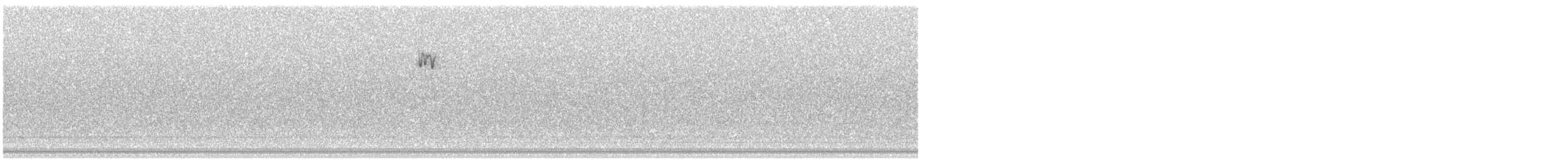 passerine sp. - ML626745880