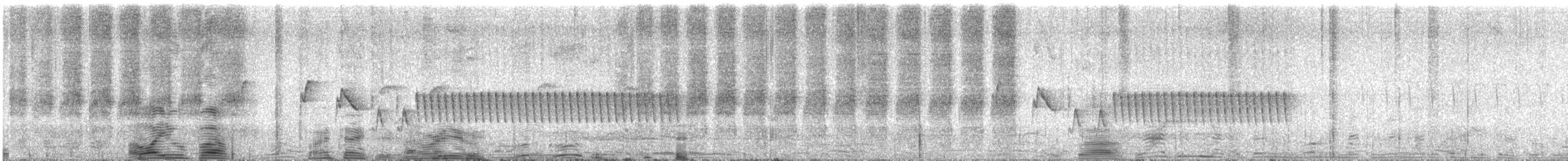 Mégalure des fourrés - ML626746805