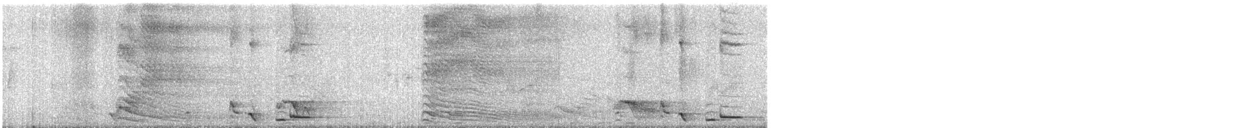 Gray Go-away-bird - ML626750714