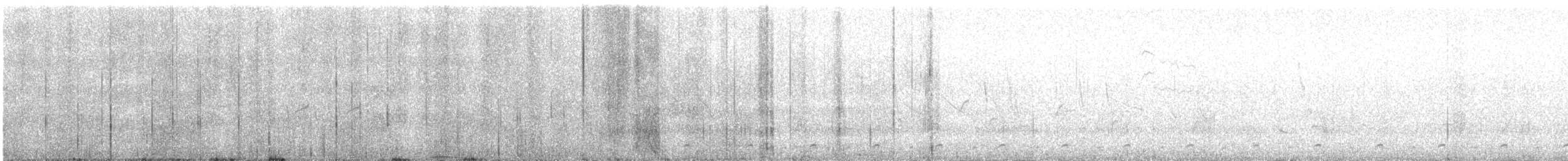 Least Seedsnipe - ML626753137