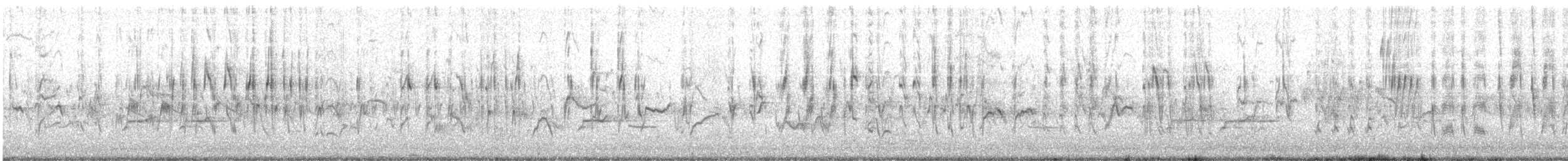 Bartzeisig - ML626753216