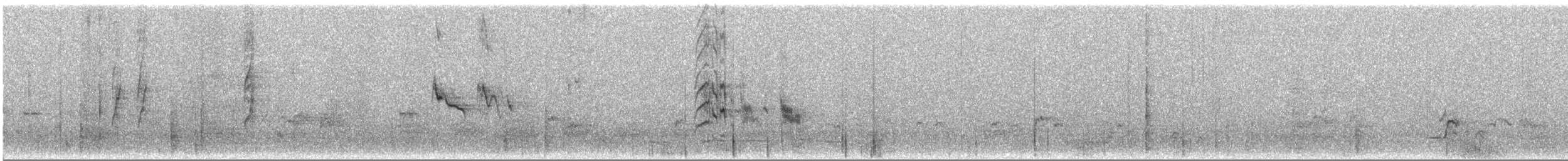 Burmese Shrike - ML626755126