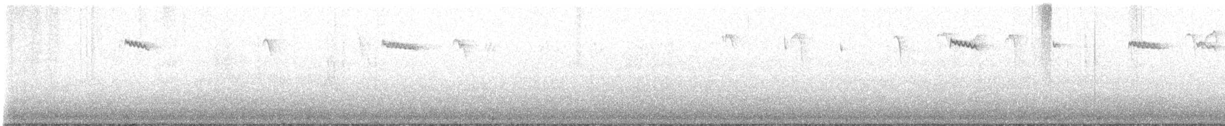 Brown Creeper - ML626756637