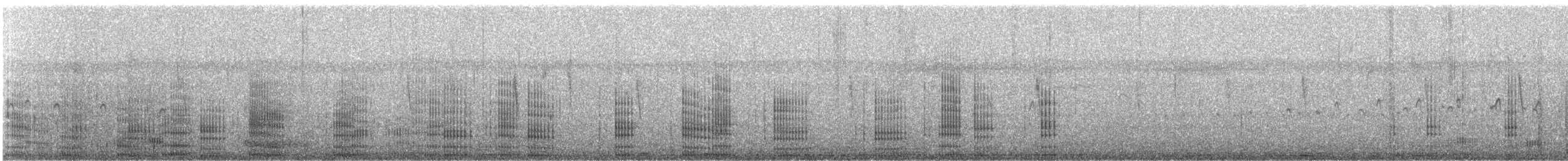 Neotropic Cormorant - ML626757258