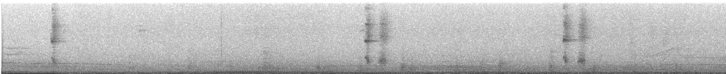 Band-backed Wren - ML626759059