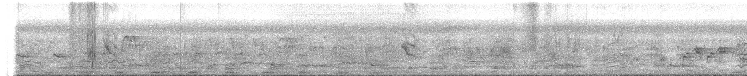 Blongios d'Australie - ML626760099