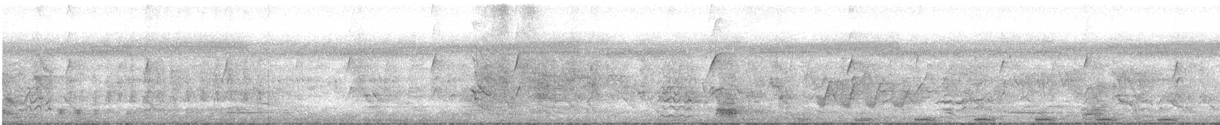 Blongios d'Australie - ML626760112