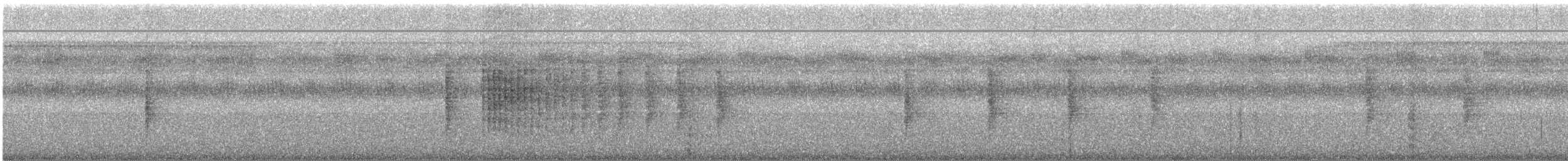 Collared Gnatwren - ML626762927