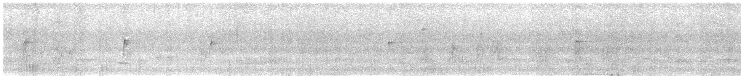 Solitary Sandpiper - ML626779230