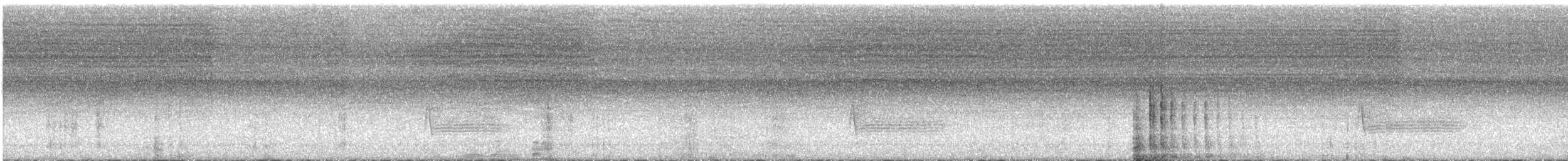 vireo sp. - ML626781234