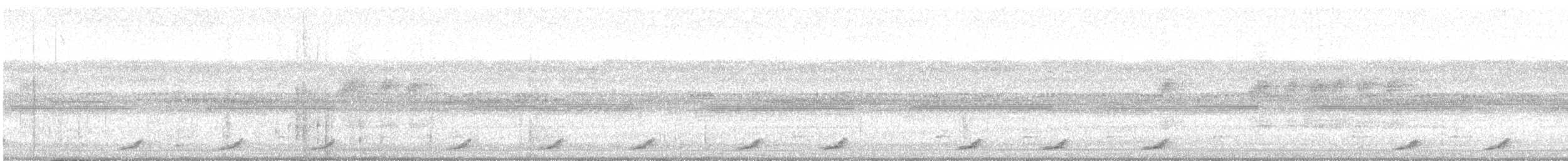 Common Pauraque - ML626781709