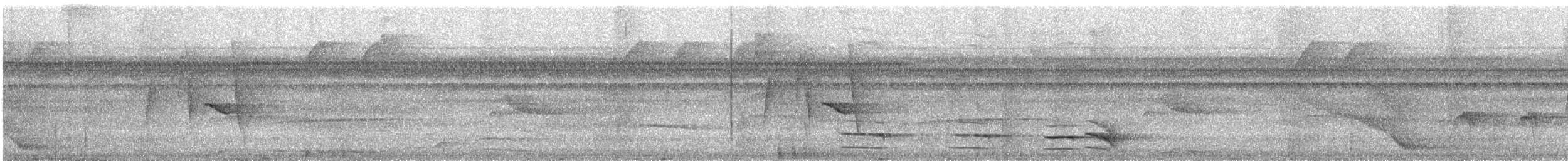 svartbukgjøk - ML626783126