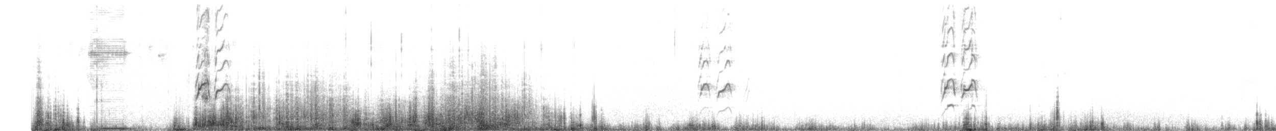 Hudsonian Godwit - ML626784354