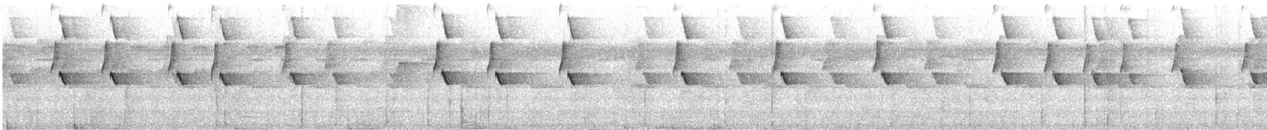 Great-billed Hermit - ML626784828