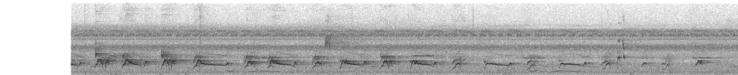 White-fronted Nunbird - ML626786602