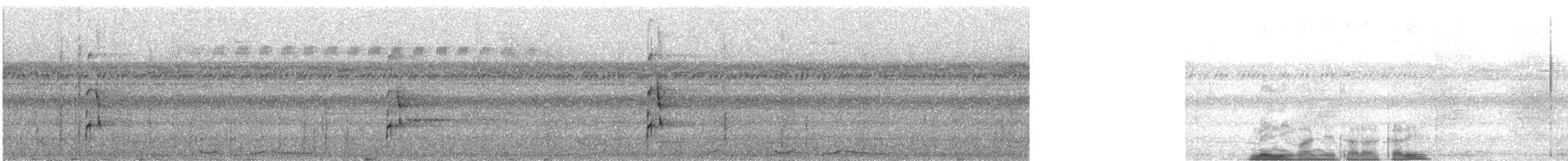 Bindenarassari - ML626786616