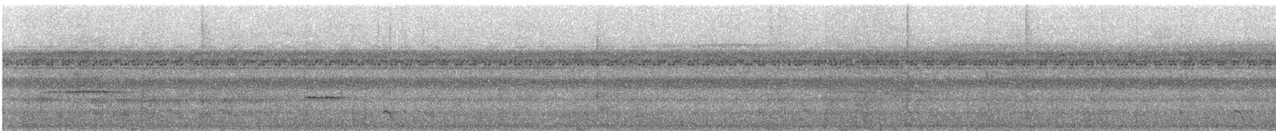 White-fronted Nunbird - ML626786662