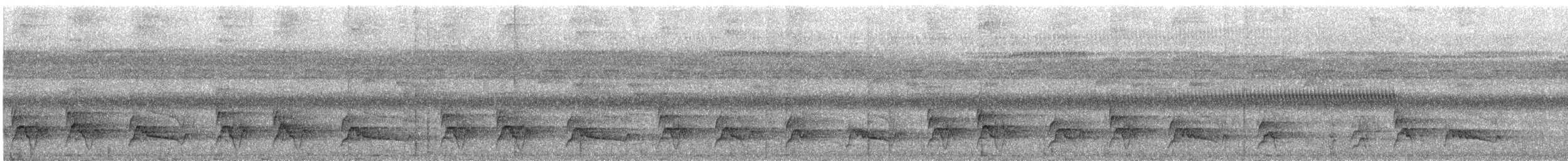 White-fronted Nunbird - ML626786721