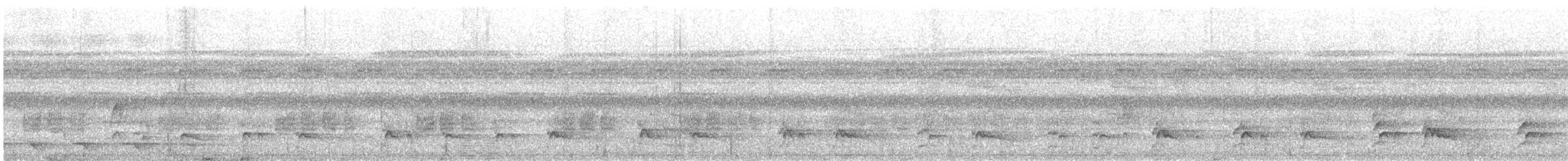 White-fronted Nunbird - ML626786722