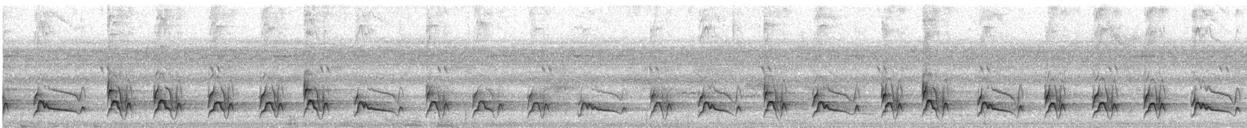 White-fronted Nunbird - ML626786870