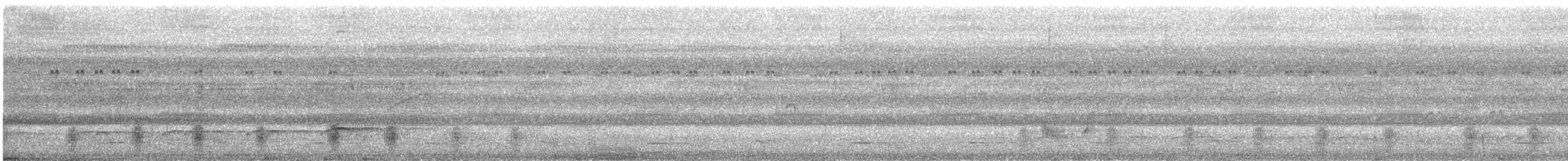 Lettered Aracari - ML626786935